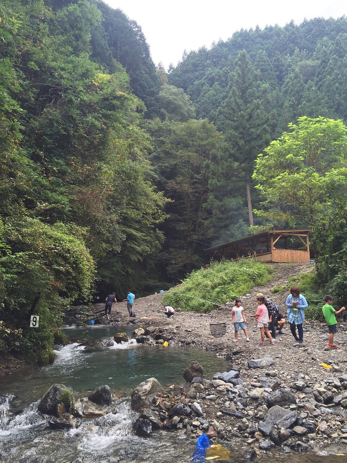 🎣 아리마 계곡 관광 낚시터 (아리마 케이코쿠 칸코 츠리바) 이미지 6